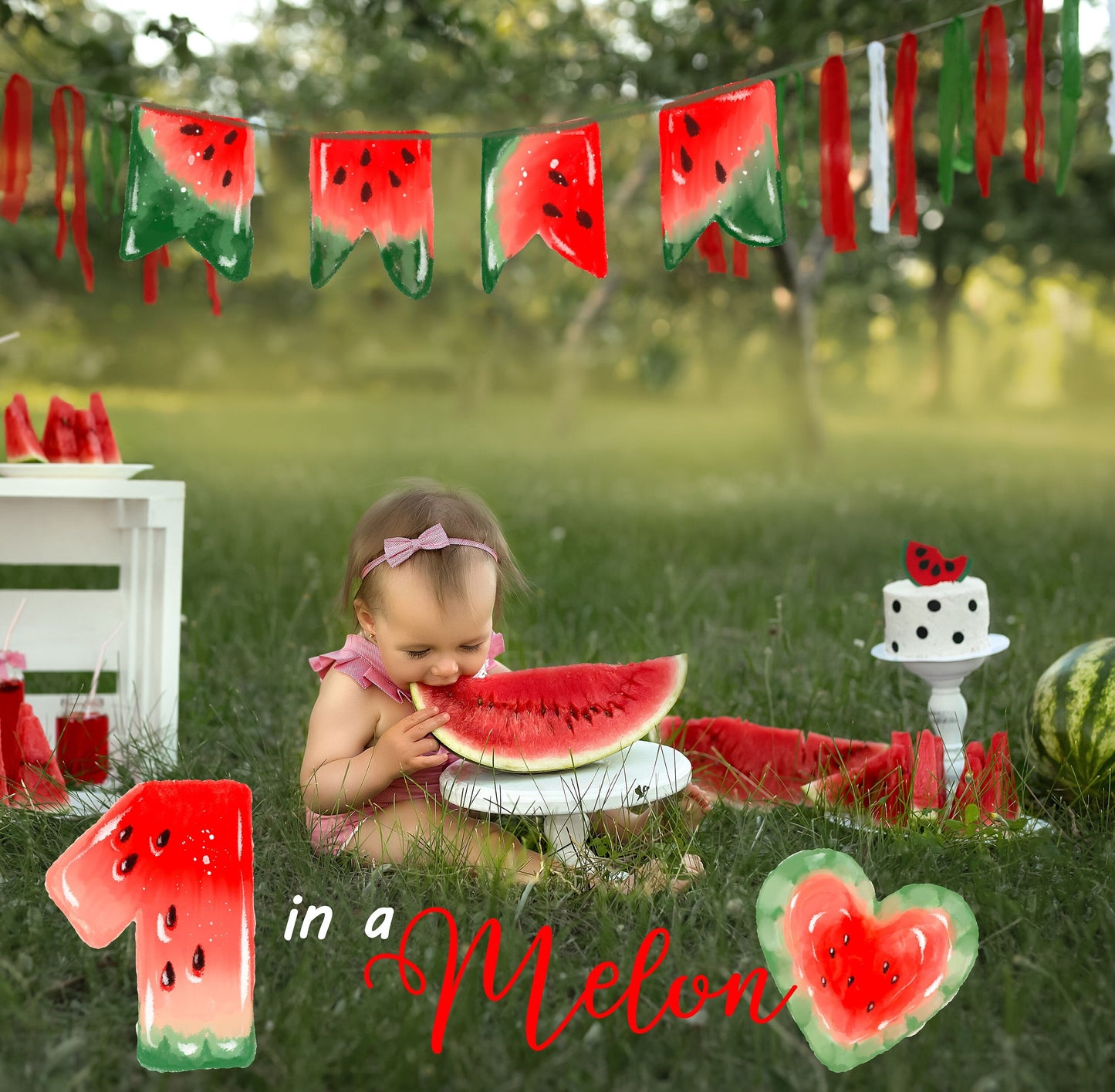 Watercolor Watermelon Clipart PNG Instant Download, LF361