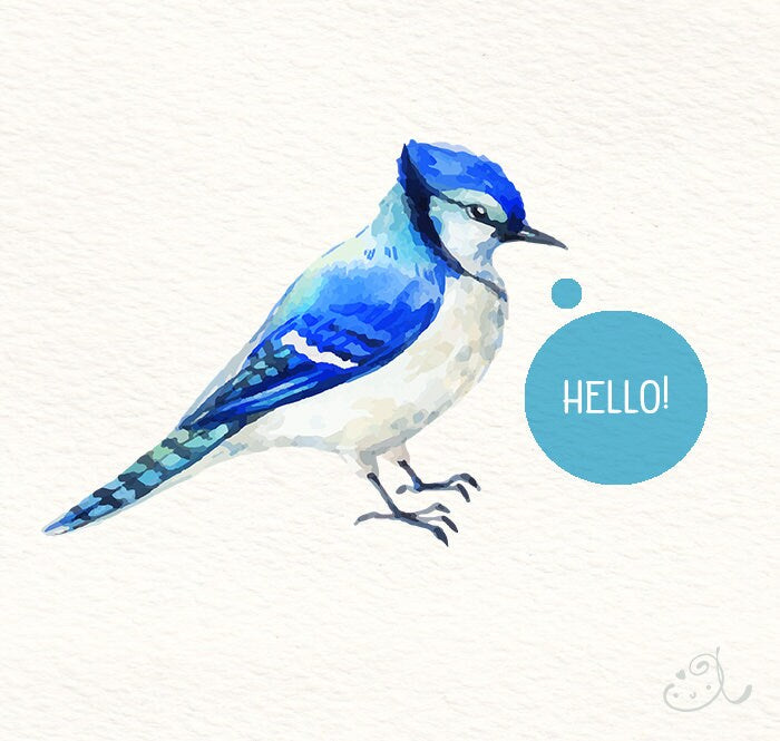 Blue Jay Watercolor Bird Clipart Flowers Leaves Nature PNG, LF369